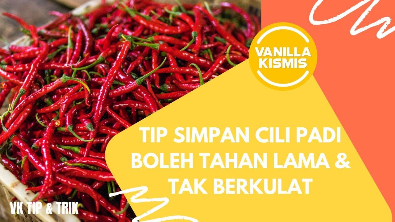 Tip Simpan Cili Padi Boleh Tahan Lama & Tak Berkulat